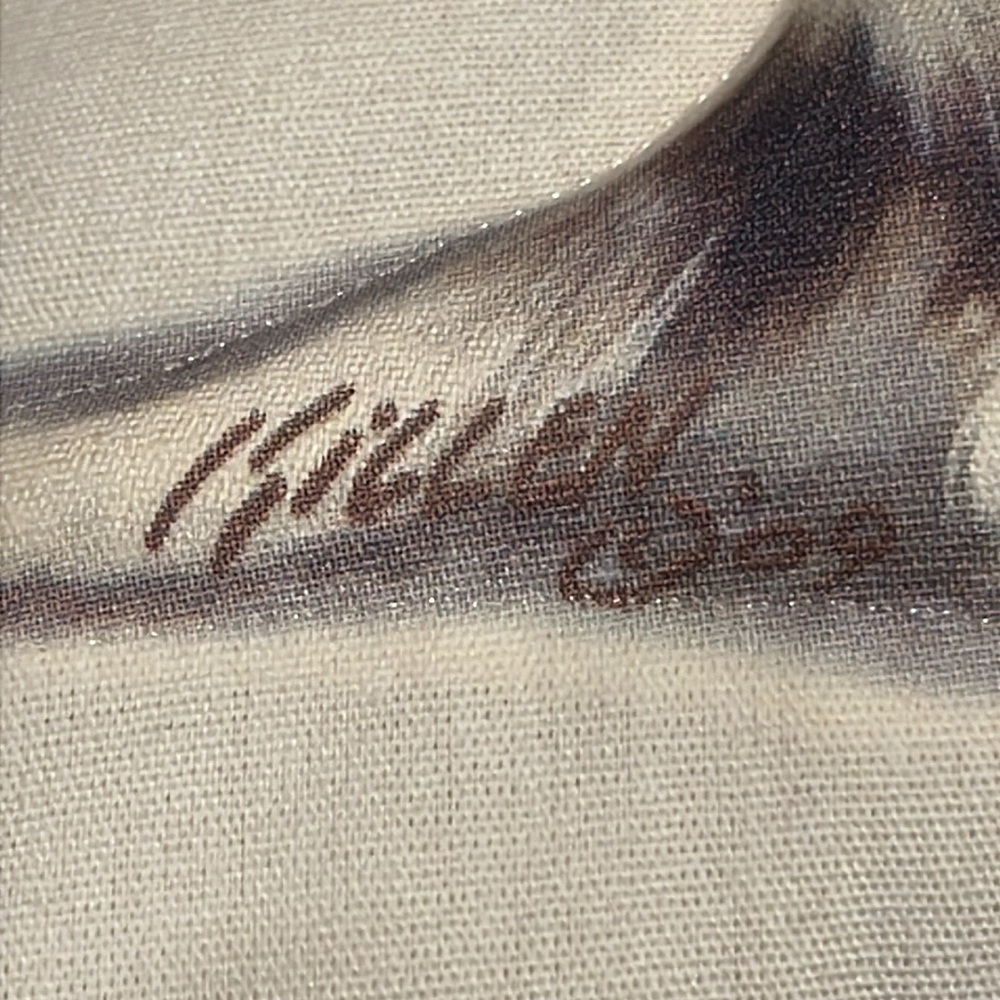 Killen - 2009 hunting 3-D dog pillow 13.5 x 13.5 - Picture 4 of 8